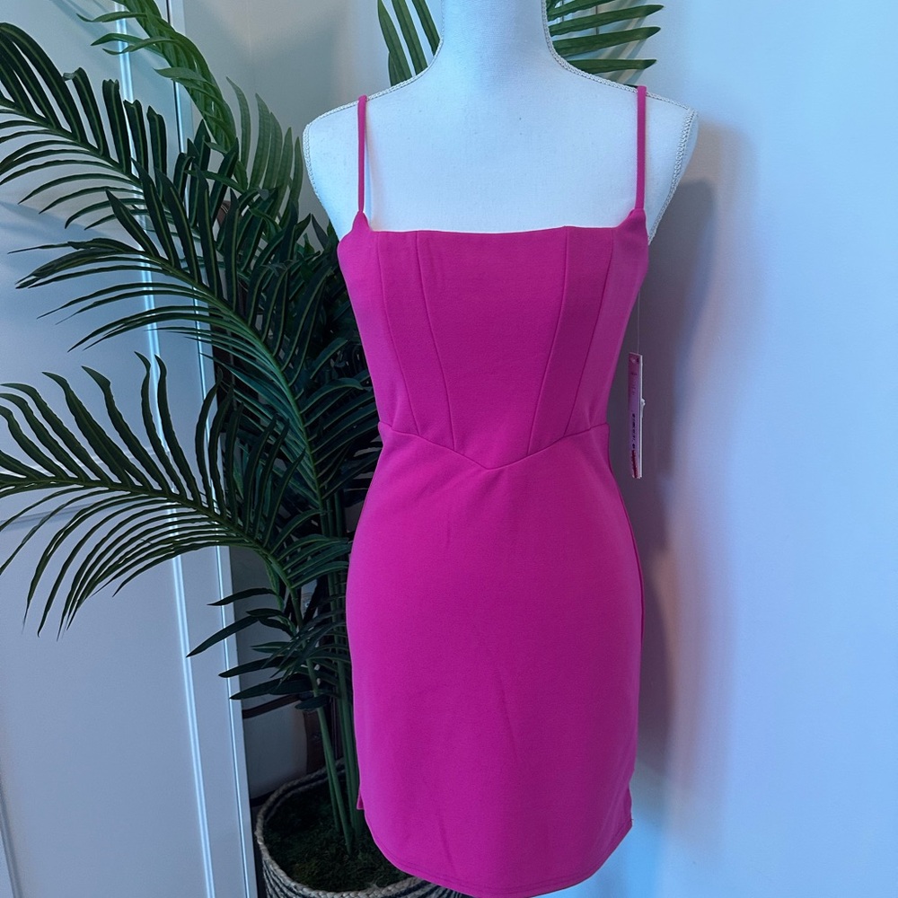 Aqua Elegant Pink Dress